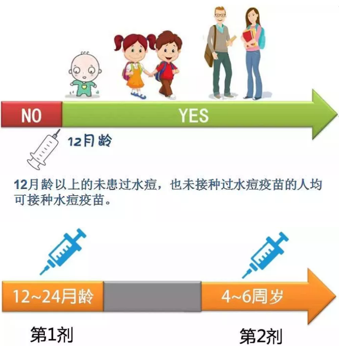 研究发现接种1剂次水痘疫苗的保护效果在20-90%之间,平均水平在70%