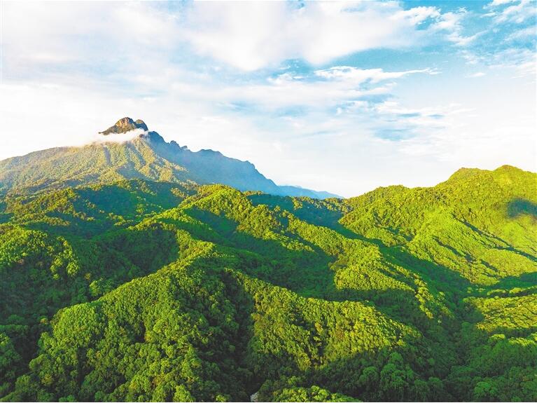 绿意盎然的海南热带雨林国家公园五指山片区