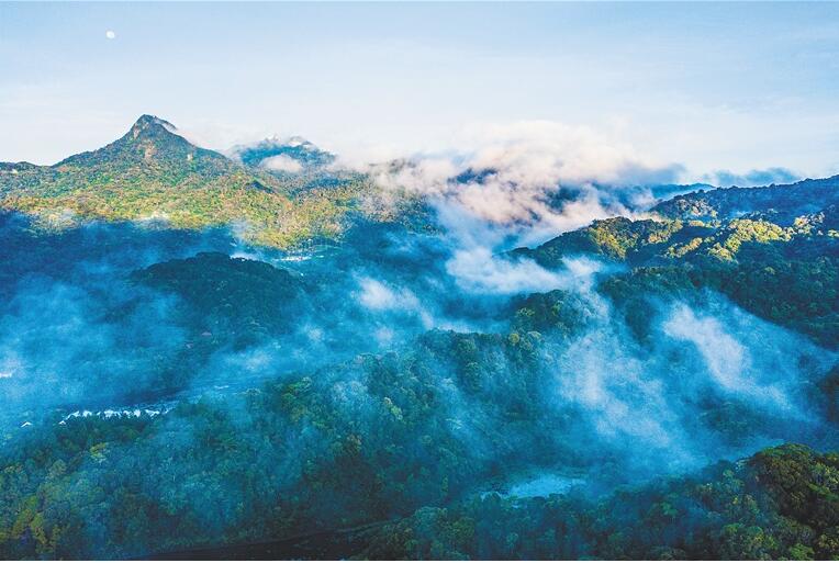 海南热带雨林国家公园尖峰岭片区风光